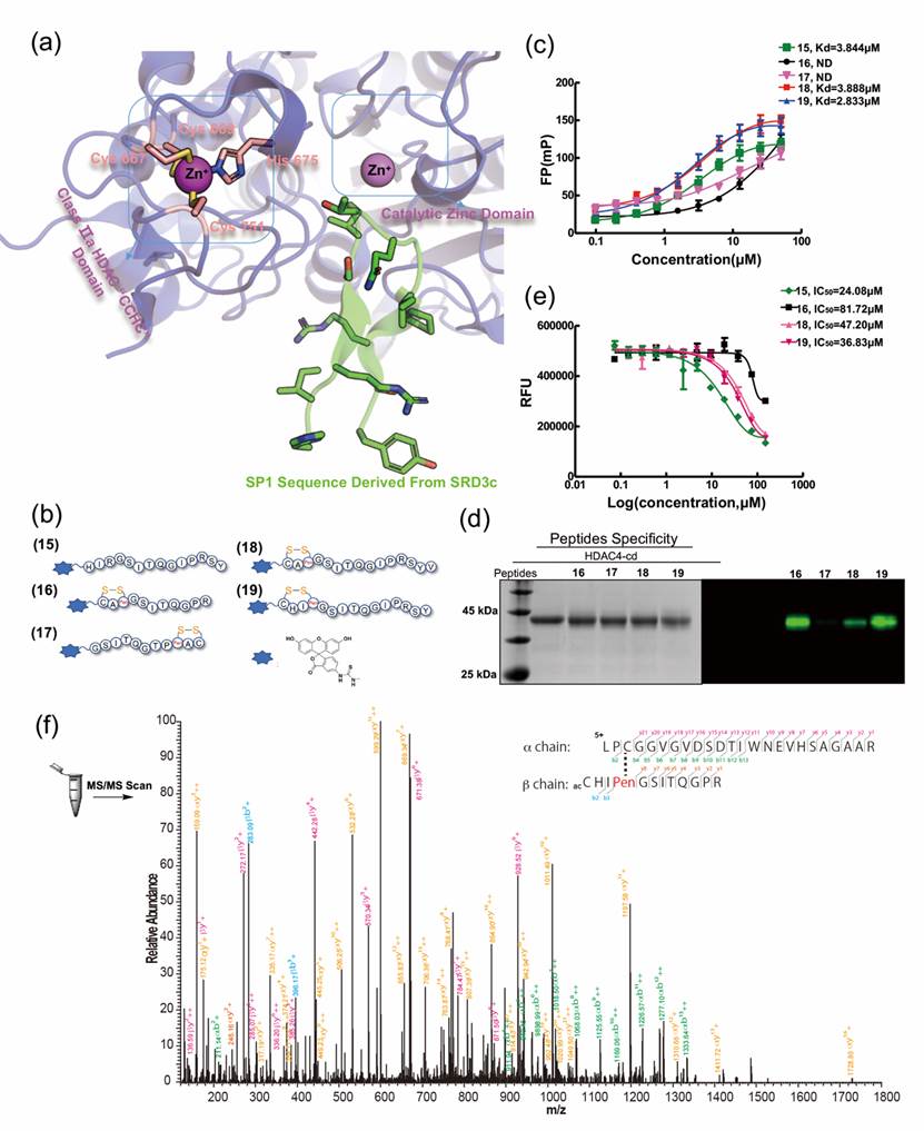 图片包含 图示描述已自动生成